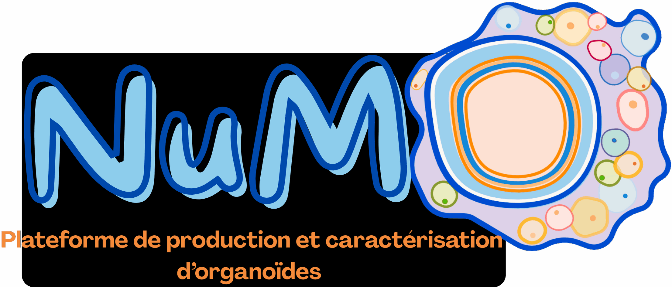 Plateforme NuMO